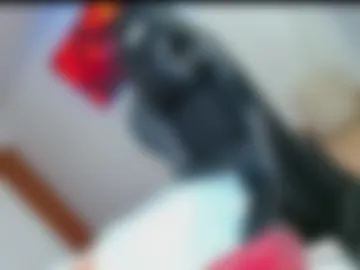 hot_beruska_gil webcam preview