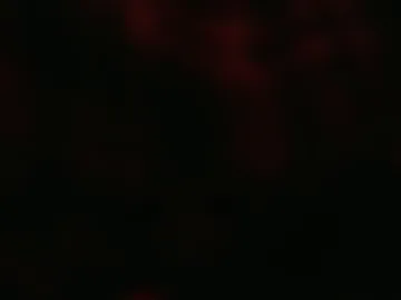 hotcoupleply live webcam preview