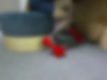hotice666 webcam preview