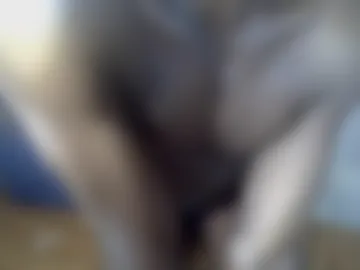 hotjojo3444 live webcam preview