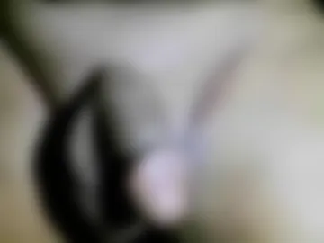 hotshavedoiledcocksocal live webcam preview