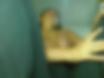 hottymilf69xxx photo 3