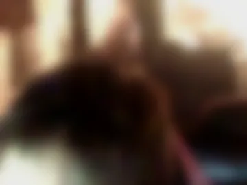 hrnymt live webcam preview