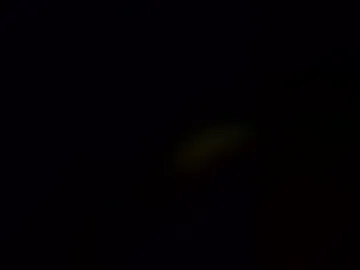 huewildy live webcam preview
