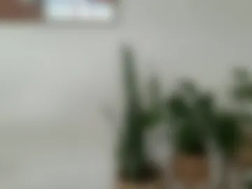 hungandy79 webcam preview