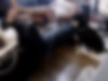 hunkydorie webcam preview