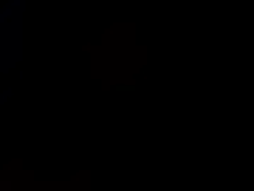 hunkydorie live webcam preview