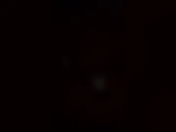 huxinator live webcam preview
