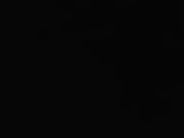 iam_sammy_01 photo 5