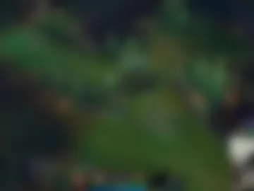 iamtommyparker photo 4