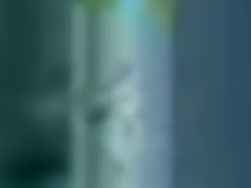 icydelivery60 webcam preview