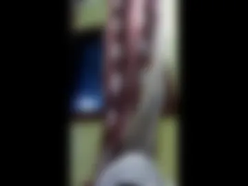 ifdontgetforgetaboutit live webcam preview