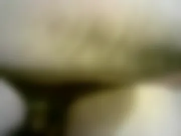 ignoredlittlestloser live webcam preview