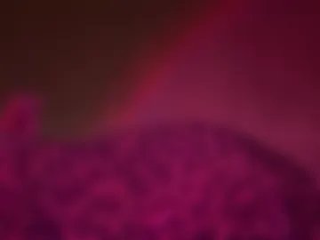 ikj420 live webcam preview