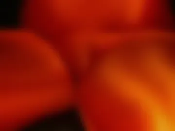 iliumd live webcam preview