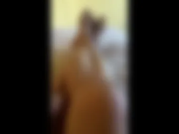 illikartha webcam preview