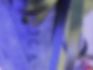 im_mariana webcam preview