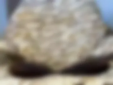 imaginaryvoyage photo 4