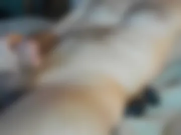 imetthatguyoncee live webcam preview