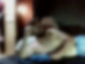 imoff_0119 live webcam preview