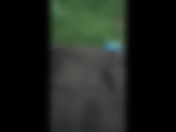 indian_desi4720 photo 8