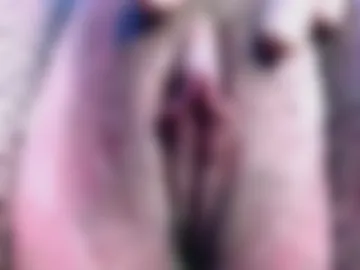 inphonebae photo 3