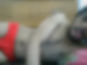 intertime69 photo 7