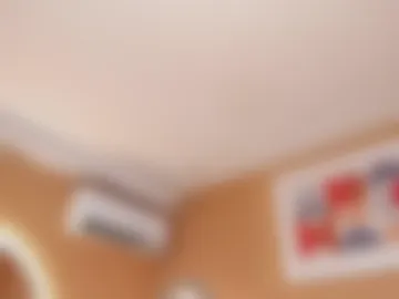 isa_meow webcam preview