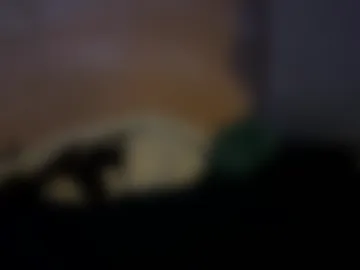 isawild66 live webcam preview