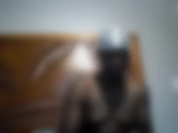 islandbey242 webcam preview
