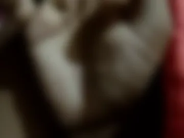 itbdhome live webcam preview