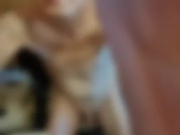 ivomarsivo live webcam preview