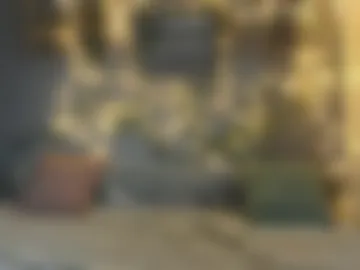ivorytrace webcam preview