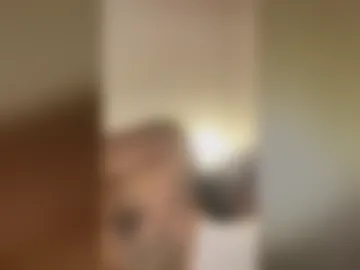 j9four_ live webcam preview
