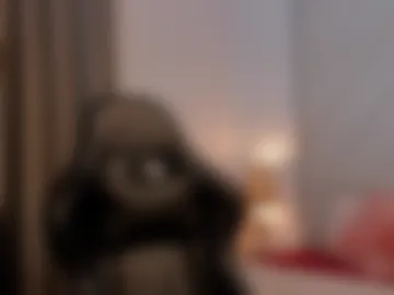 jackson_stifler1 photo 7