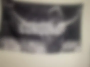 jake_brick live webcam preview