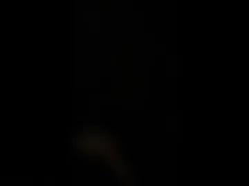 jake_brick webcam preview