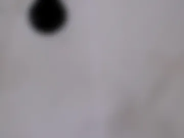 jamwarnerone photo 9