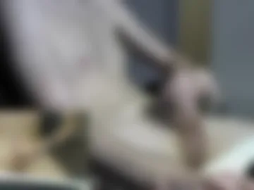 japie93 live webcam preview