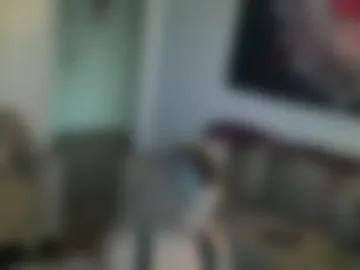 jaslanimirajts photo 4