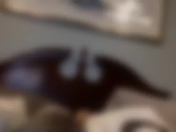 jasminehailey12 webcam preview