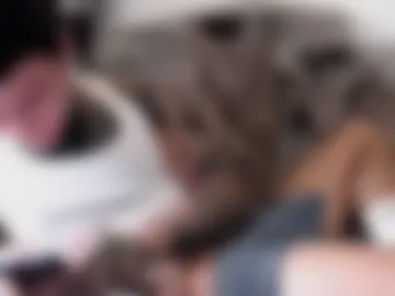 jaxshred photo 6
