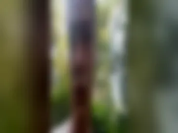 jaybama webcam preview