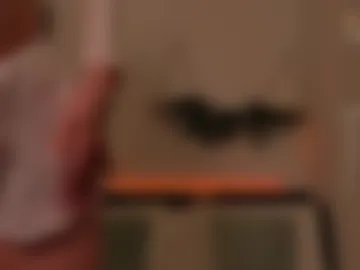 jaylee_kryss photo 8