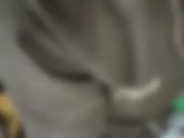 jaysobricked live webcam preview