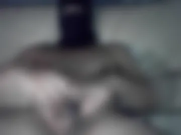 jerkmydickwithme live webcam preview