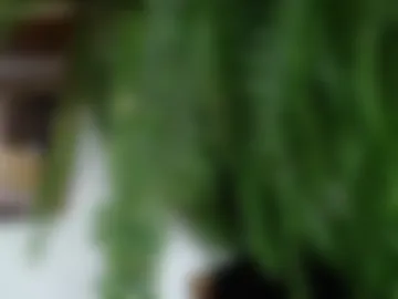 jessie__ross webcam preview