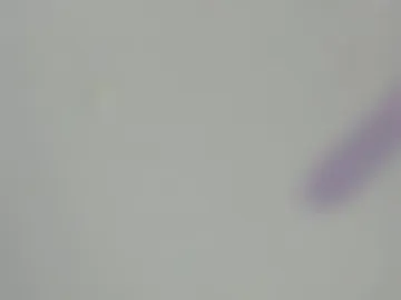 jessyjcortes webcam preview