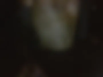 jglarsbel webcam preview