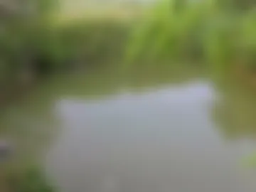 jiamer webcam preview